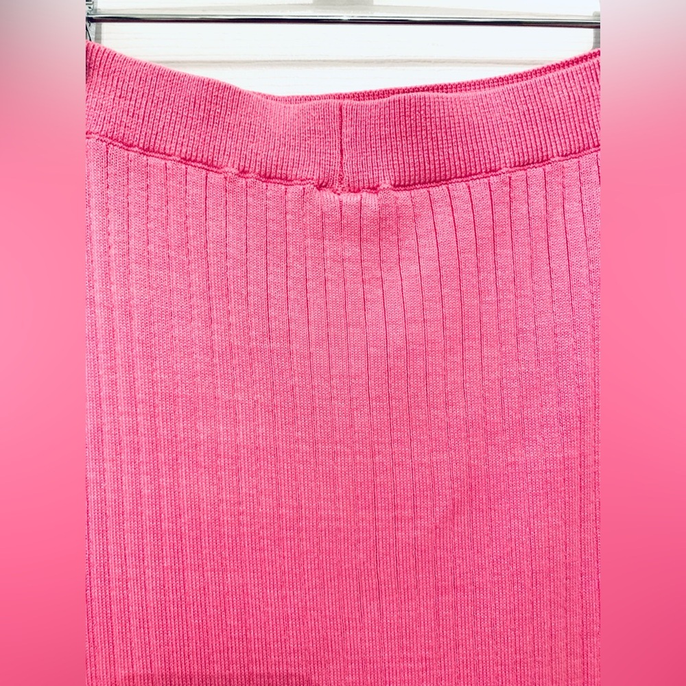 Free People Pink Skyline Midi Skirt • NWT• Size XS - Picture 5 of 15